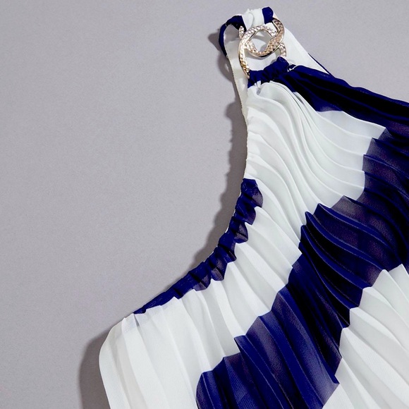 Caché Pleated Maxi Dress - Picture 5 of 5